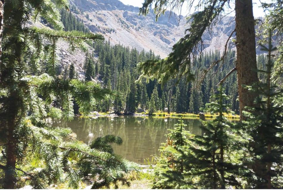 Beautiful and serene mountain lake surrounded by pine trees and scree slopes.