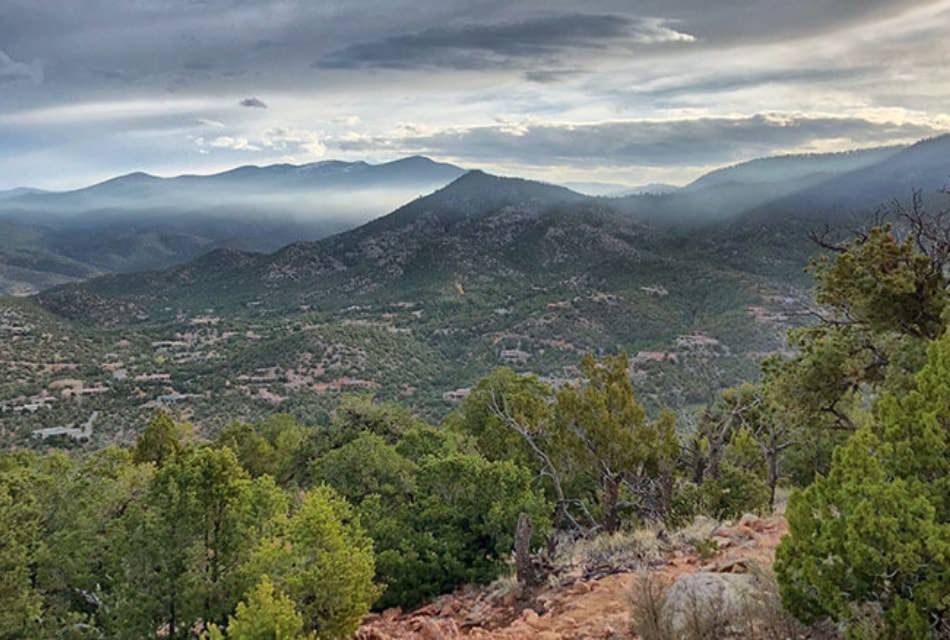 Mountains blue with mist and low clouds surrounded by scrub pine.