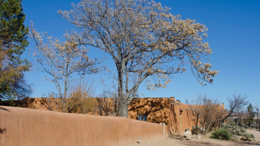 Explore The Life & Art Of Georgia O’Keeffe In Northern New Mexico