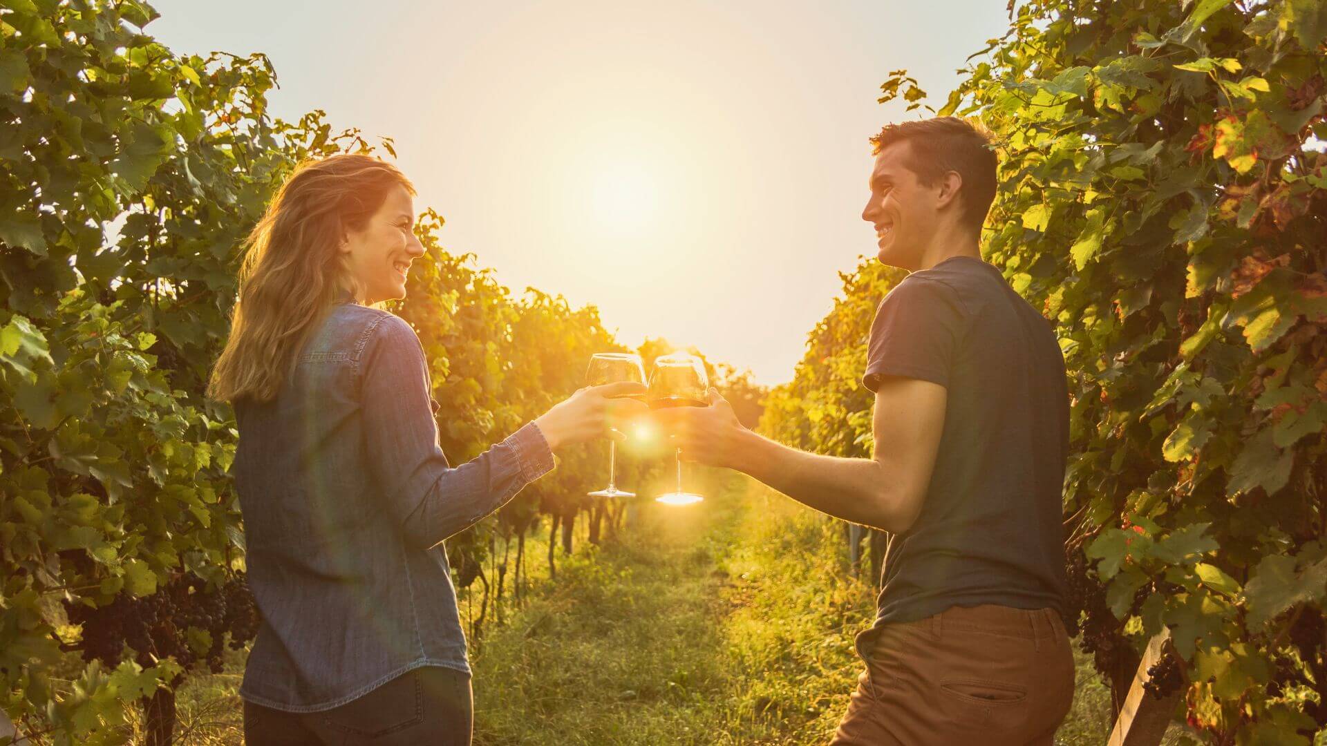 couple toasting wine glasses in vineyard at sunset