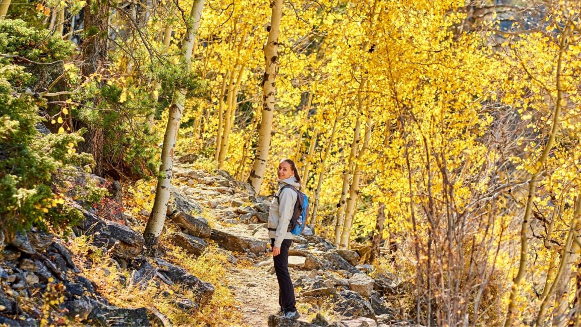 a woman hiking in a yellow aspen grove